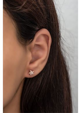 Γυναικεία Σκουλαρίκια Veronica