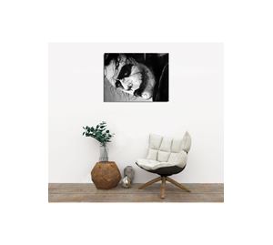 Home Bazaar Vol.1 Home Bazaar Vol.1 - Πινακάς Καμβάς Kalune Design