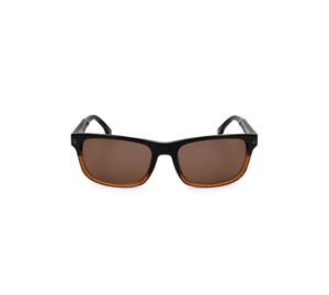 Nike Vision & Carrera Sunglasses - Ανδρικά Γυαλιά Ηλίου Carrera Nike Vision & Carrera Sunglasses