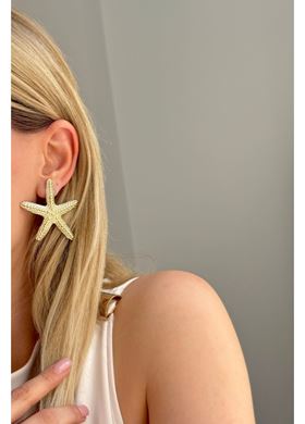 Γυναικεία Σκουλαρίκια Krelis