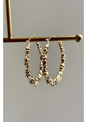 Γυναικεία Σκουλαρίκια Krelis