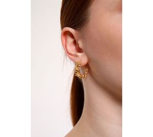 Jewels Collection - Γυναικείο Σκουλαρίκι Aurrari Jewels Collection