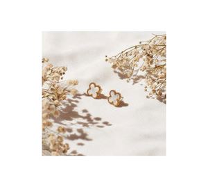 Jewels Collection - Γυναικεία Σκουλαρίκια Aurrari Jewels Collection