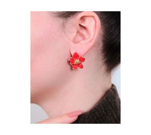 Jewels Collection - Γυναικείο Σκουλαρίκι Aurrari Jewels Collection