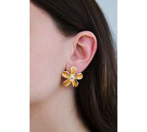 Jewels Collection - Γυναικείο Σκουλαρίκι Aurrari Jewels Collection