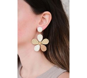 Jewels Collection - Γυναικείο Σκουλαρίκι Aurrari Jewels Collection