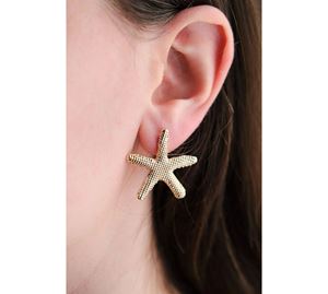 Jewels Collection - Γυναικείο Σκουλαρίκι Aurrari Jewels Collection