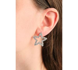 Jewels Collection - Γυναικείο Σκουλαρίκι Aurrari Jewels Collection