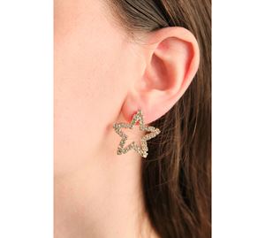 Jewels Collection - Γυναικείο Σκουλαρίκι Aurrari Jewels Collection