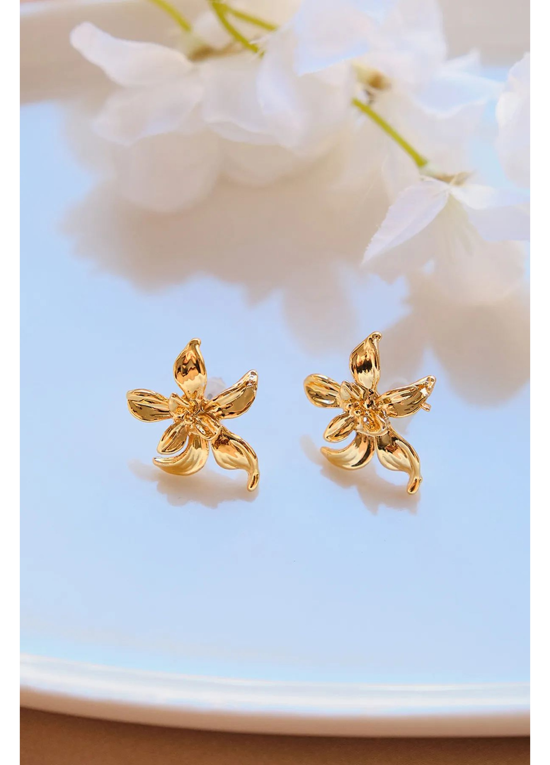 Jewels Shop Vol.1 - Γυναικείο Σκουλαρίκι Aurrari
