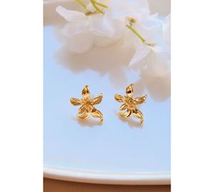 Jewels Collection - Γυναικείο Σκουλαρίκι Aurrari Jewels Collection