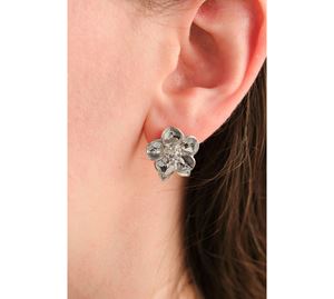 Jewels Collection - Γυναικείο Σκουλαρίκι Aurrari Jewels Collection