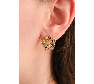 Jewels Collection - Γυναικείο Σκουλαρίκι Aurrari Jewels Collection