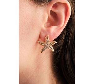 Jewels Collection - Γυναικείο Σκουλαρίκι Aurrari Jewels Collection