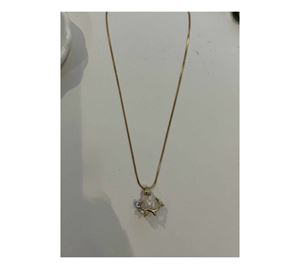 Jewels Shop Vol.1 - Γυναικείο Κολιέ Aurrari