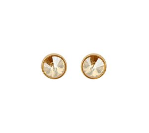 Karl Lagerfeld & Dkny Jewels & Watches Karl Lagerfeld & Dkny Jewels & Watches - Γυναικεία Σκουλαρίκια DKNY