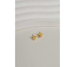 Jewels Shop Vol.2 - Γυναικεία Σκουλαρίκια Glint