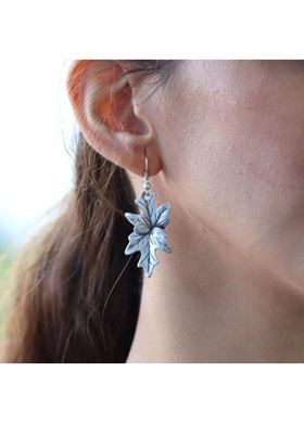 Γυναικεία Σκουλαρίκια Ava Collection