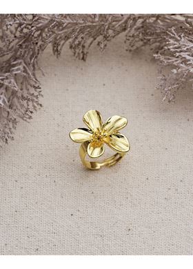 Γυναικείο Δαχτυλίδι Glint