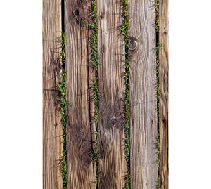 Home Clearance Home Clearance - Χαλί 50 x 80 cm Conceptum Hypnose