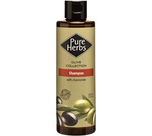 Beauty Clearance Beauty Clearance - Shampoo 200ml Pure Herbs