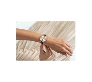  Emily Westwood Watches - Γυναικείο Ρολόι Emily Westwood 2025