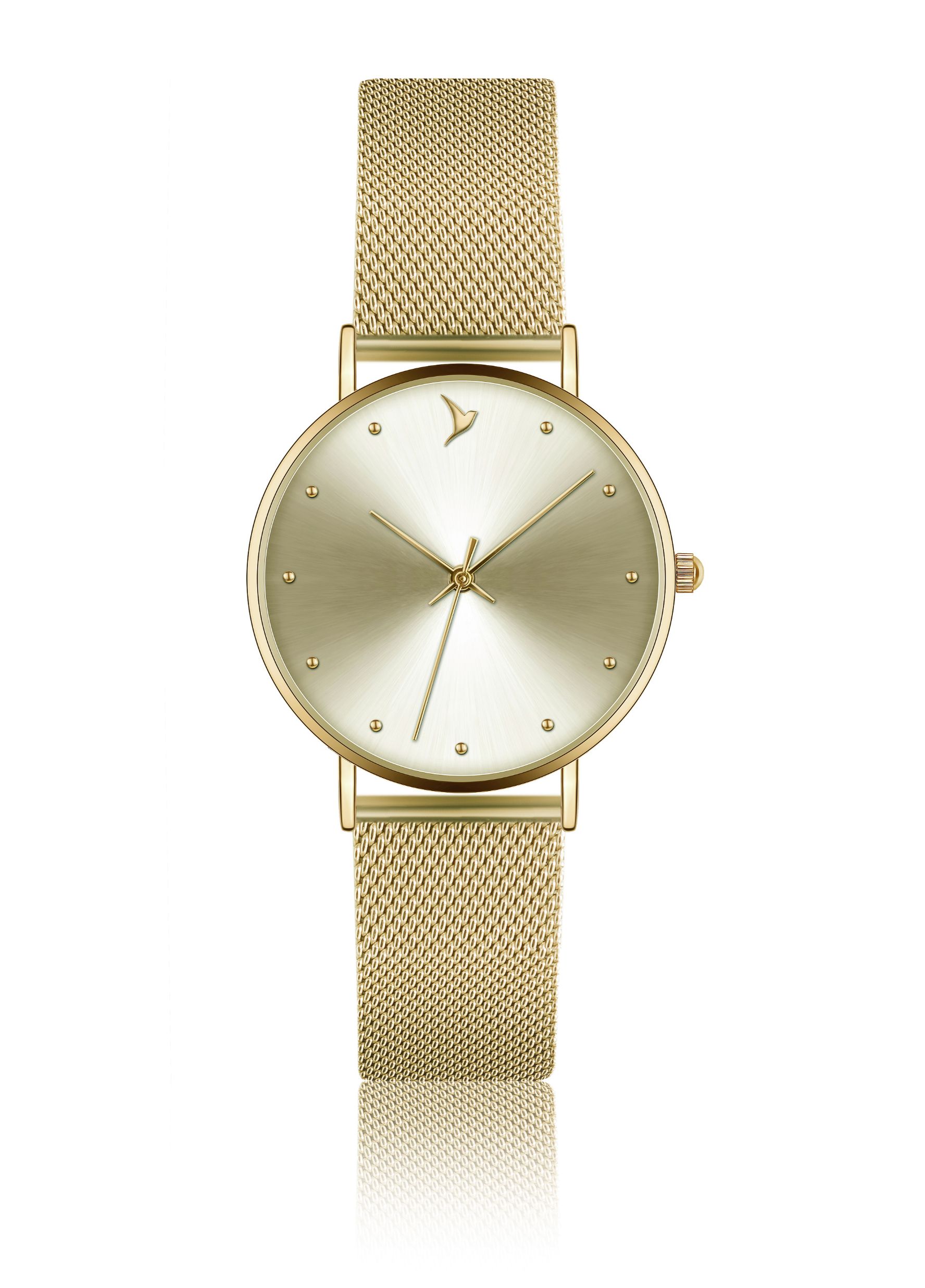 Emily Westwood Watches - Γυναικείο Ρολόι Emily Westwood