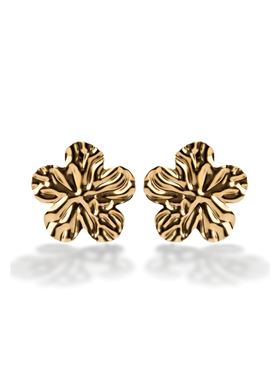 Γυναικεία Σκουλαρίκια Emily Westwood