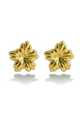 Γυναικεία Σκουλαρίκια Emily Westwood