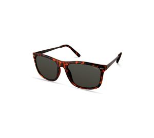 Guess Sunglasses - Ανδρικά Γυαλιά Ηλίου GUESS Guess Sunglasses