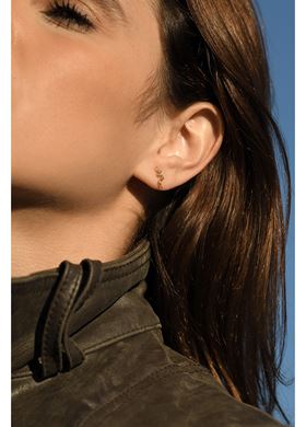 Γυναικεία Σκουλαρίκια Moode