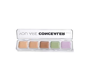 Beauty Basket - Corrector palette dos