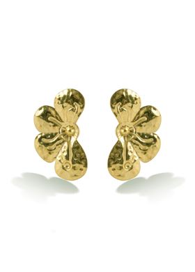 Γυναικεία Σκουλαρίκια Victoria Walls