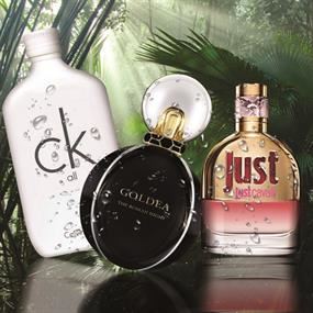 Scents Of Glamour