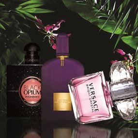 Perfume Stories