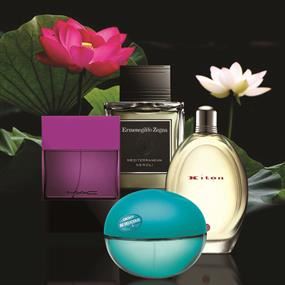 Perfume Notes