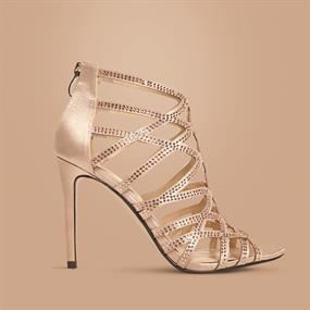 Shoes Stories