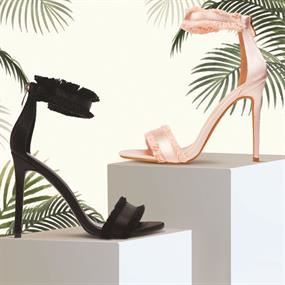 Shoes Guide