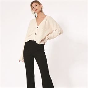 Special Outfit