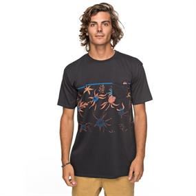 Quiksilver