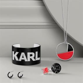 Karl Lagerfeld & Dkny Jewels & Watches
