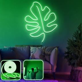Neon Lighting Shop