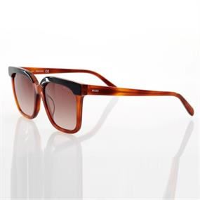 Branded Sunglasses Collection